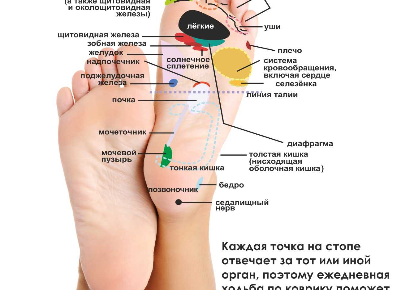Ортопедические коврики: в чём польза для малышей